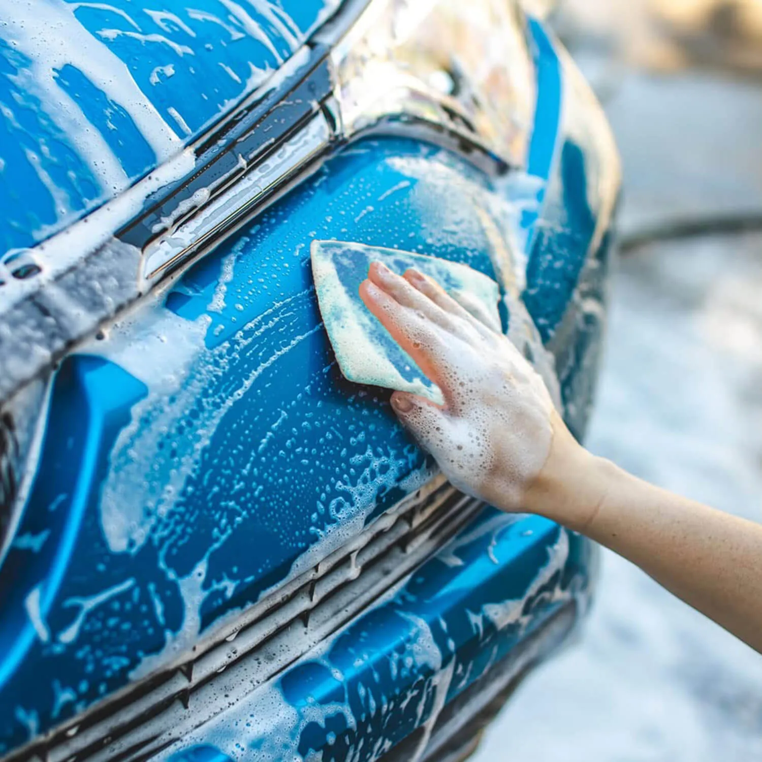 jersey bug scrubber pads jersey-bug-scrubber-pads-blue